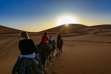 Morocco tour 10 days from Casablanca to Marrakech 8 days Morocco desert trip from Casablanca 6 days trip from Casablanca to Marrakech 4 day Morocco tour 8 11 days private tour from Casablanca