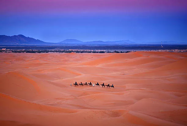 Tour di 4 giorni in Marocco Giro in cammello Merzouga 7 days tour from Tangier 3 days camel trek in Merzouga 10 days trip from Marrakech 4 day morocco tour from fes to marrakech