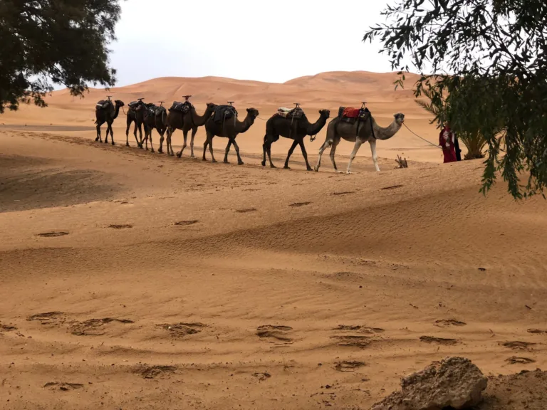 Mehr über den Artikel erfahren Tagestour in Marokko